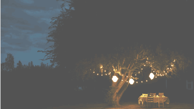 San-Patricio-Orchard-20