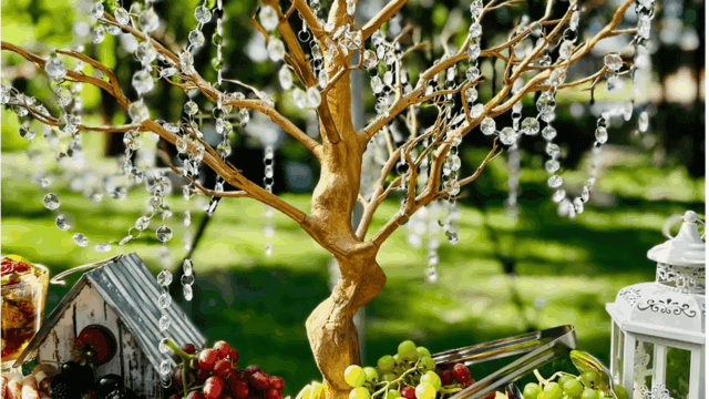 San-Patricio-Orchard-3