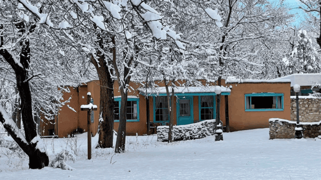 San-Patricio-Orchard-6